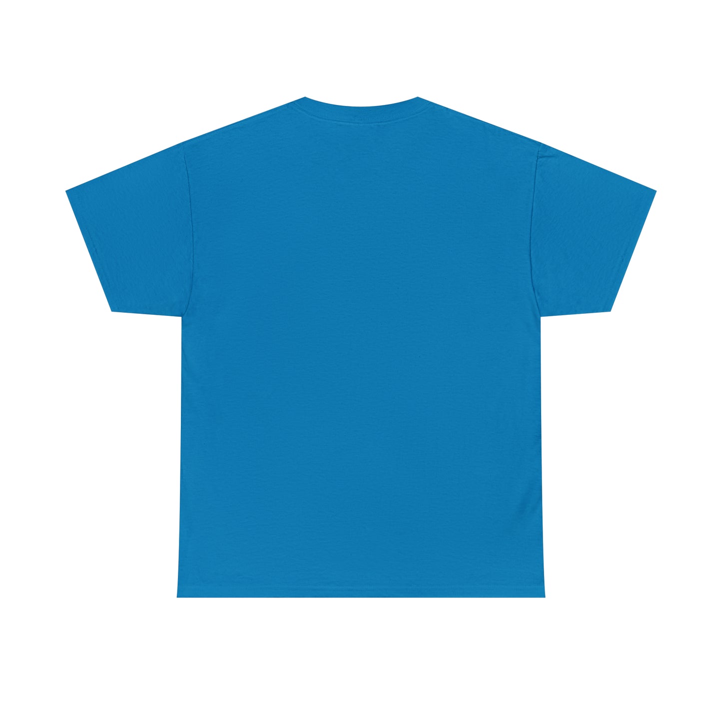 Rat Lover Unisex T-Shirt "Introverted But Willing to Discuss Rats"