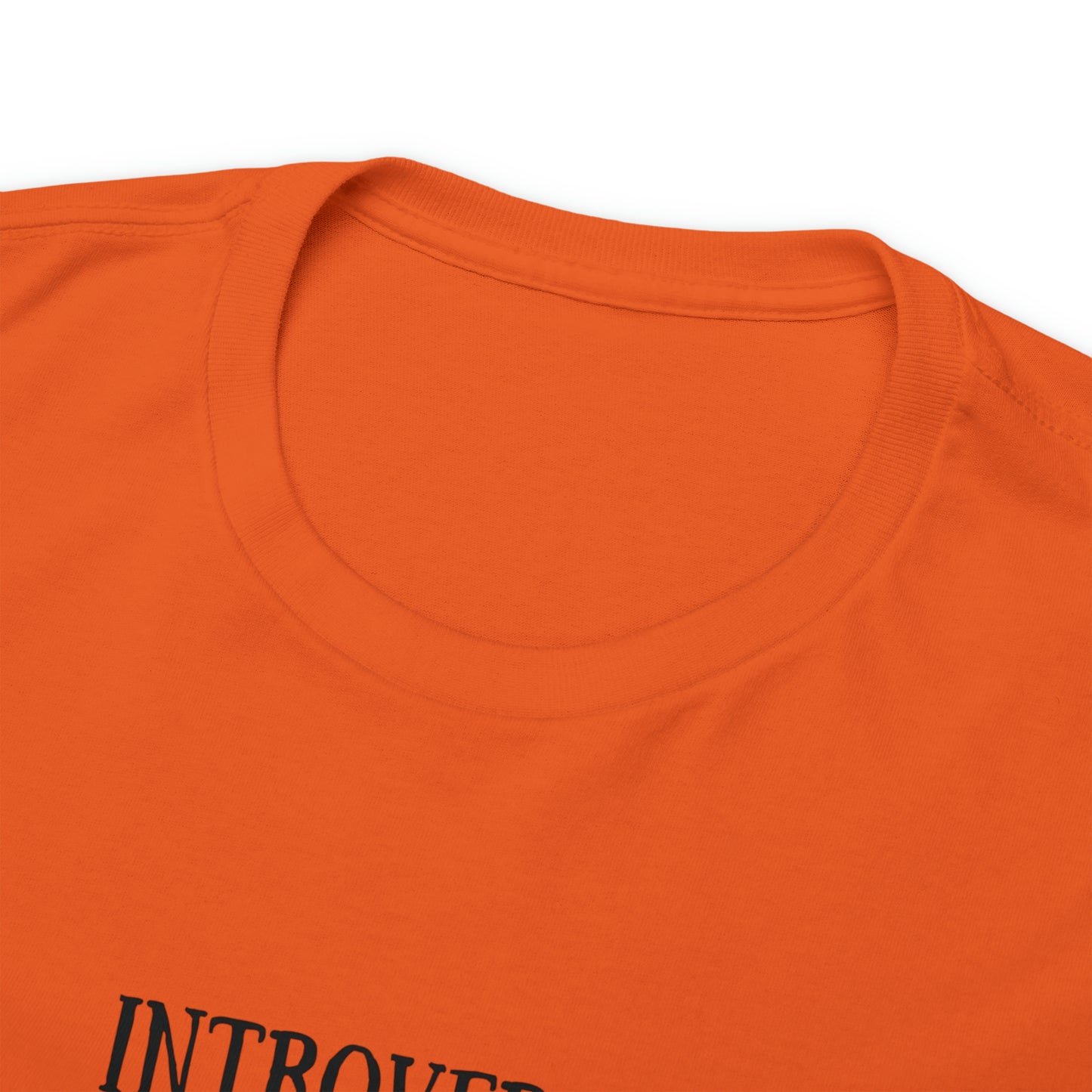 Rat Lover Unisex T-Shirt "Introverted But Willing to Discuss Rats"