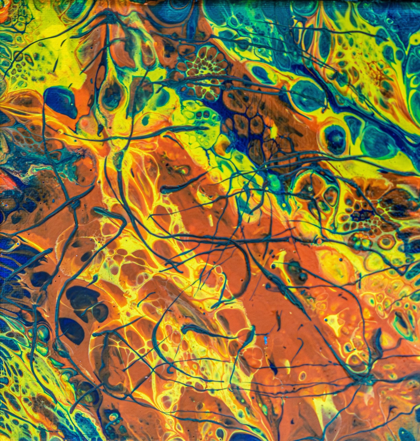 Psychedelic Peacock Abstract 8x8 Canvas Painting