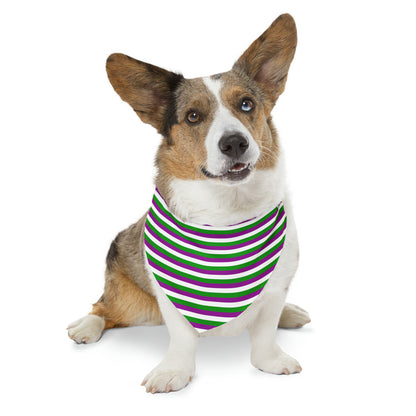 TERF Striped Pet Bandana Collar