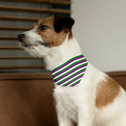 TERF Striped Pet Bandana Collar