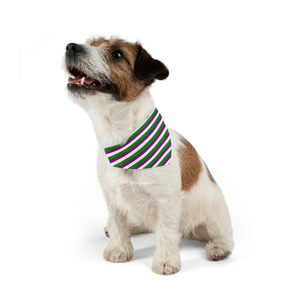 TERF Striped Pet Bandana Collar