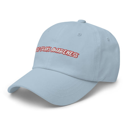 De-trans Awareness Activist Baseball Hat