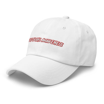 De-trans Awareness Activist Baseball Hat